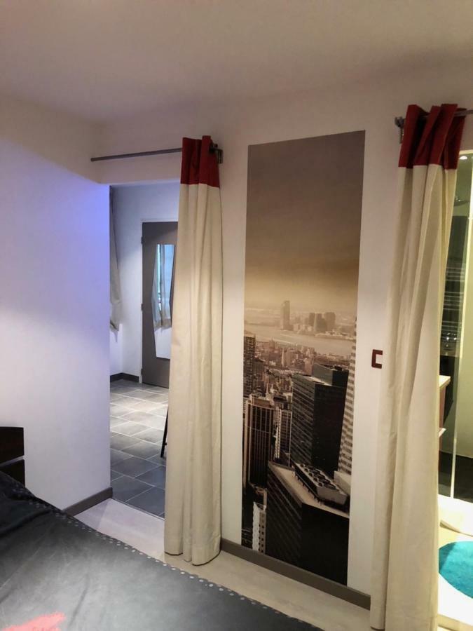 Lulu Philippe Apartment Saint-Etienne  Exterior photo